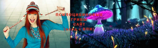 ALPHA-PVP Баксан