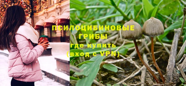 прущий лед Заречный