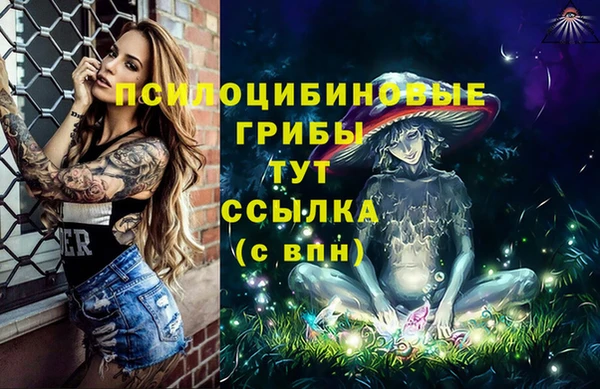 прущий лед Заречный