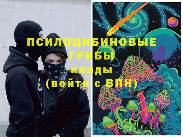 эйфоретик Заполярный