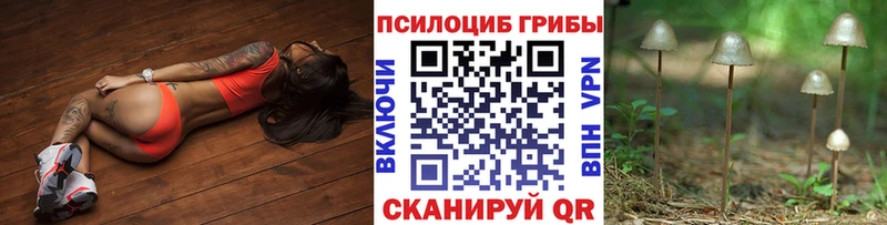 Псилоцибиновые грибы Psilocybe  Красный Холм 