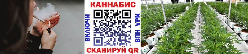 где продают   Красный Холм  Шишки марихуана сатива 